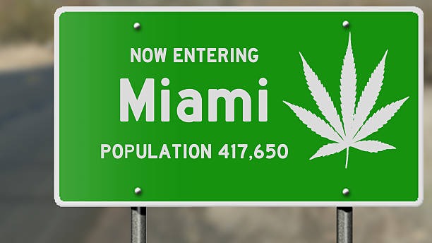 Miami Cannabis Stores?