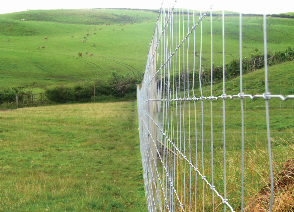 Proven Deer Fencing Solution