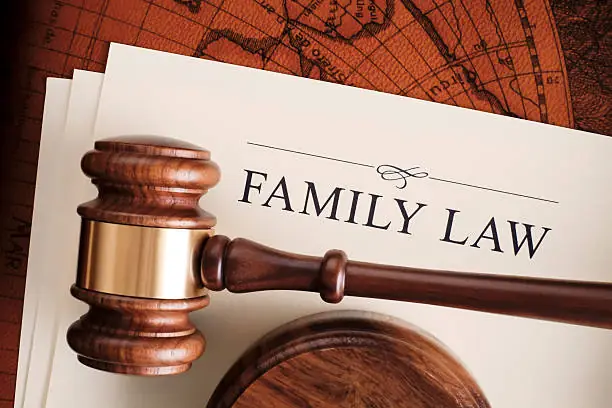 Custody in Family Law